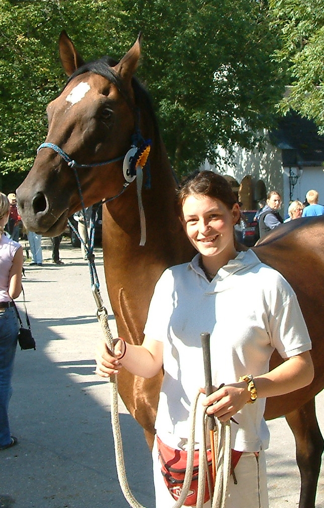 Gawani u lussi