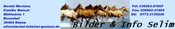 Bilder & Info Selim