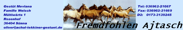 Fremdfohlen Ajtasch