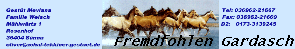 Fremdfohlen Gardasch
