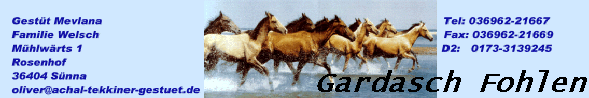 Gardasch Fohlen