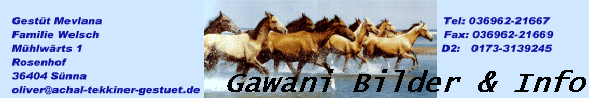 Gawani Bilder & Info