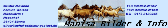 Manisa Bilder & Info