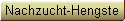 Nachzucht-Hengste