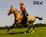 Hilal