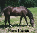 Kara Kacan