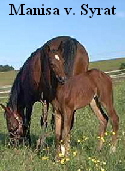 Manisa
