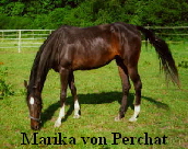 Marika von Perchat
