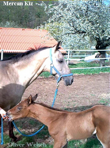 Mercan Kiz