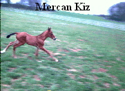 Mercan Kiz